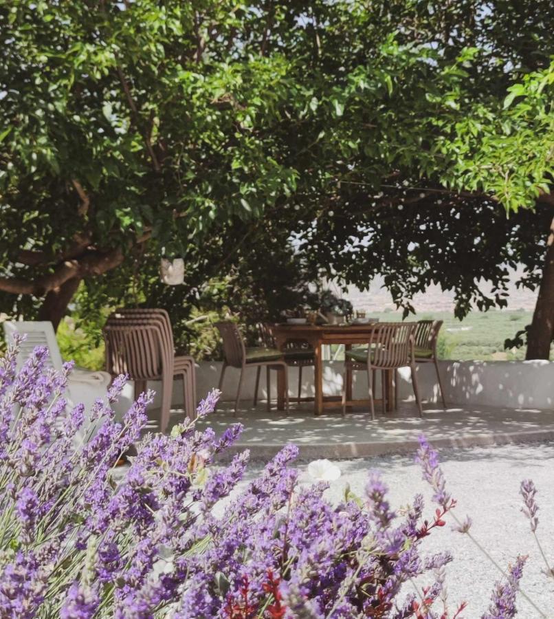 Cueva Otto Familiar Privada Villa Baza Ngoại thất bức ảnh
